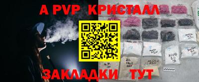 дмт Бийск