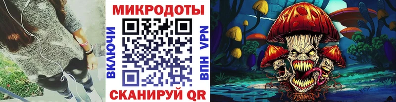 сколько стоит  Богданович  Галлюциногенные грибы MAGIC MUSHROOMS 
